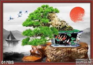 Tranh bonsai nghệ thuật và cá chép