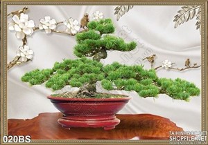 Tranh bonsai nghệ thuật và cái chậu đỏ