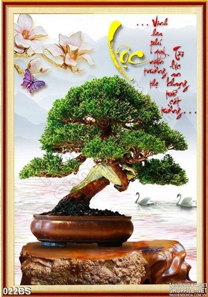 Tranh bonsai dáng đẹp chữ lộc