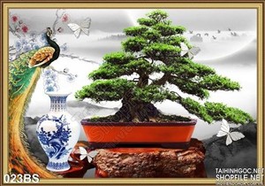 Tranh bonsai nghệ thuật và con chim công
