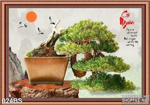 Tranh bonsai dáng độc cội nguồn