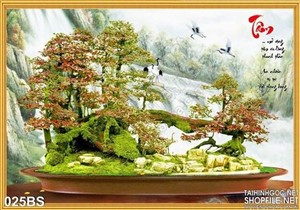 Tranh bonsai phong thủy chữ tâm