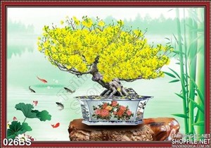 Tranh bonsai hoa mai và cá chép
