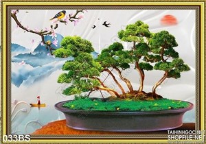 Tranh bonsai nghệ thuật tạo kiểu ấn tượng