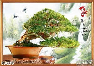 Tranh bonsai chữ thọ nghệ thuật