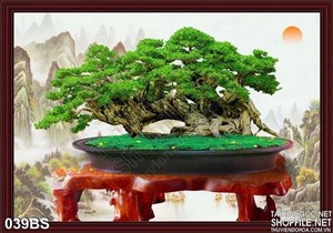 Tranh bonsai độc đáo nghệ thuật