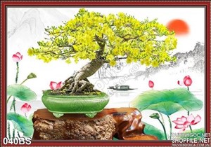 Tranh bonsai hoa mai in gạch đẹp