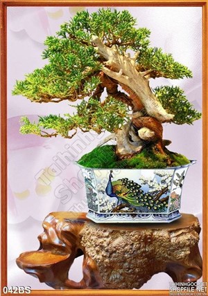 Tranh bonsai nghệ thuật đẹp ấn chim công