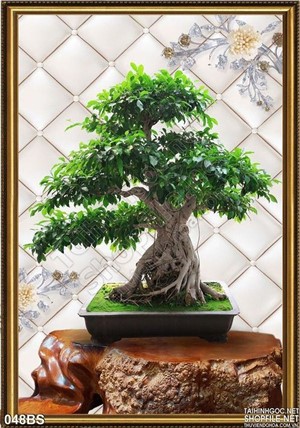 Tranh bonsai đẹp in psd