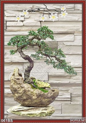 Tranh bonsai psd độc đáo