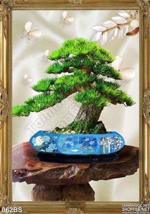 Tranh bonsai dáng đẹp