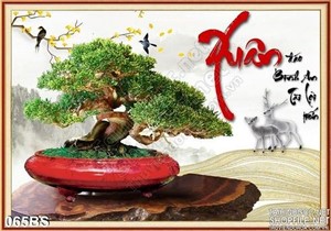 Tranh bonsai chữ xuân 3d in uv