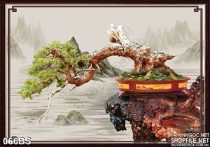 Tranh bonsai đổ bóng nghệ thuật