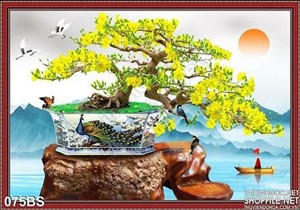 Tranh bonsai hoa mai và kẻ chèo thuyền