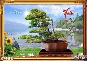 Tranh bonsai nghệ thuật chữ xuân ý nghĩa