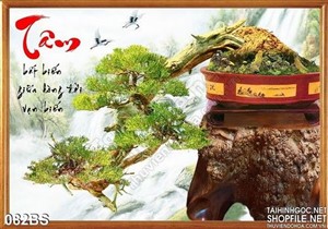 Tranh bonsai bóng đổ chữ tâm đẹp ấn tượng