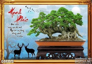 Tranh bonsai hạng phúc và con nai