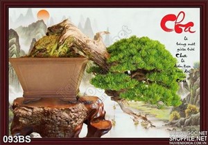 Tranh bonsai wall chữ cha đẹp ấn tượng