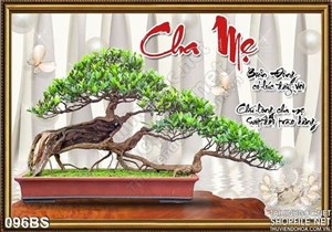 Chậu bonsai đẹp ấn tượng chữ cha mẹ