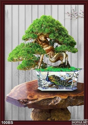 Tranh bonsai khổ dọc chim công đẹp