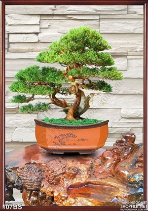 Tranh bonsai và cái bàn gỗ đẹp