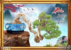 Chậu bonsai nghệ thuật chữ phúc