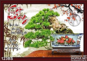 Chậu bonsai gốc lớn cát tường