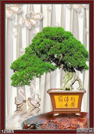 Chậu bonsai lụa 3d độc lạ in gạch