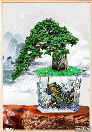 Chậu bonsai in gạch chim công