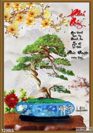 Chậu bonsai phú quý gia chủ