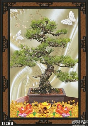 Chậu bonsai tài lộc in gạch