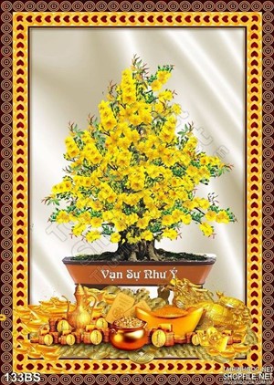 Chậu bonsai hoa mai vạn sự như ý