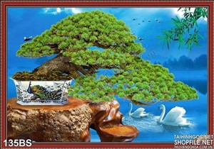 Chậu bonsai ấn tượng thiên nga