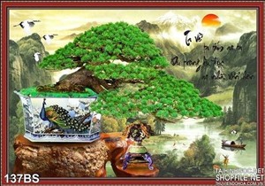 Chậu bonsai và bình hoa cổ in uv