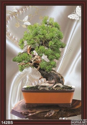 Chậu bonsai lụa 3d max độc wall