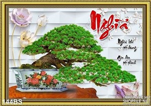 File Chậu bonsai cây thông chữ nghĩa