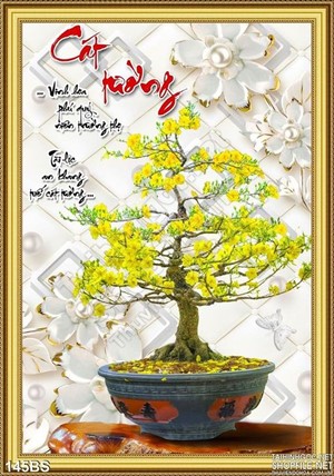 Chậu bonsai hoa mai cát tường nghệ thuật