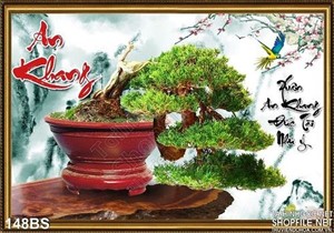 Chậu bonsai tán rộng chữ an khang
