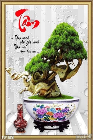 Chậu bonsai lâu năm chữ tâm độc đáo