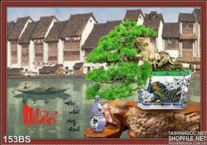 Chậu bonsai làng quê cổ 2020