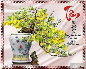 Chậu bonsai hoa mai độc chữ tâm
