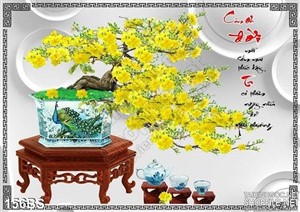 Chậu bonsai hoa mai năm mới 2020