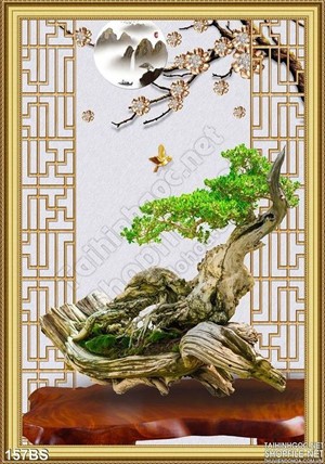 Chậu bonsai gốc cây ấn tượng