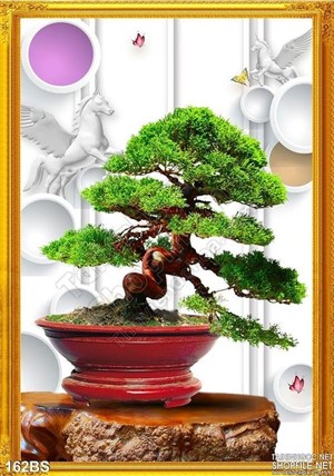 Chậu bonsai cây khế lụa 3d