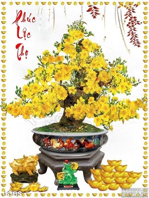 Chậu bonsai gốc mai phúc lộc thọ