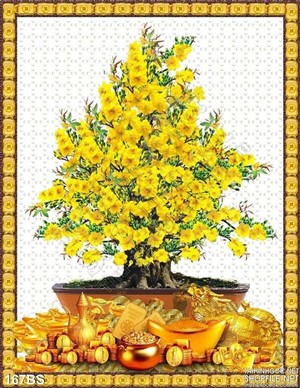 Chậu bonsai cây hoa mai tài lộc