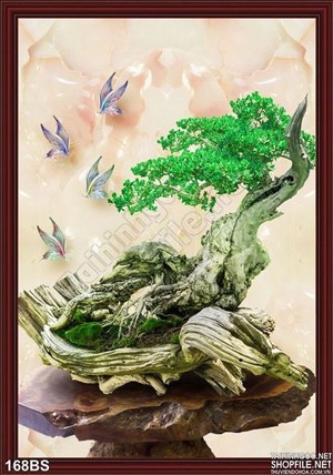Chậu bonsai gốc gỗ độc lạ đẹp