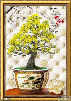 Chậu bonsai  cây mai chữ tâm ngày tết