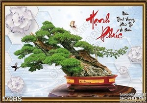Chậu bonsai cổ lâu năm hạnh phúc