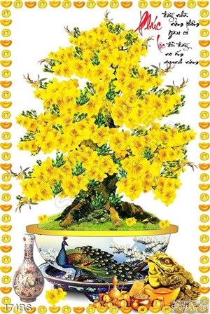 Chậu bonsai hoa mai và con cóc vàng